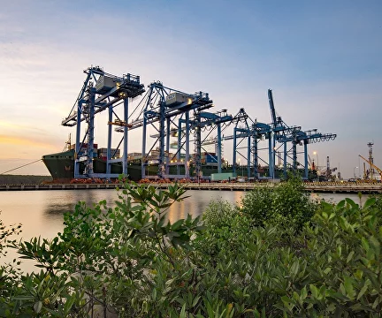 Доставка грузов из Вьетнама