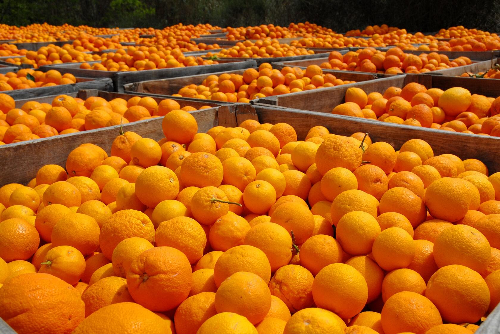 Доставка грузов под температурным режимом