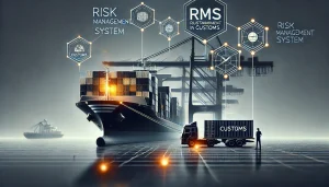 СУР в таможне: что это такое и как применяется